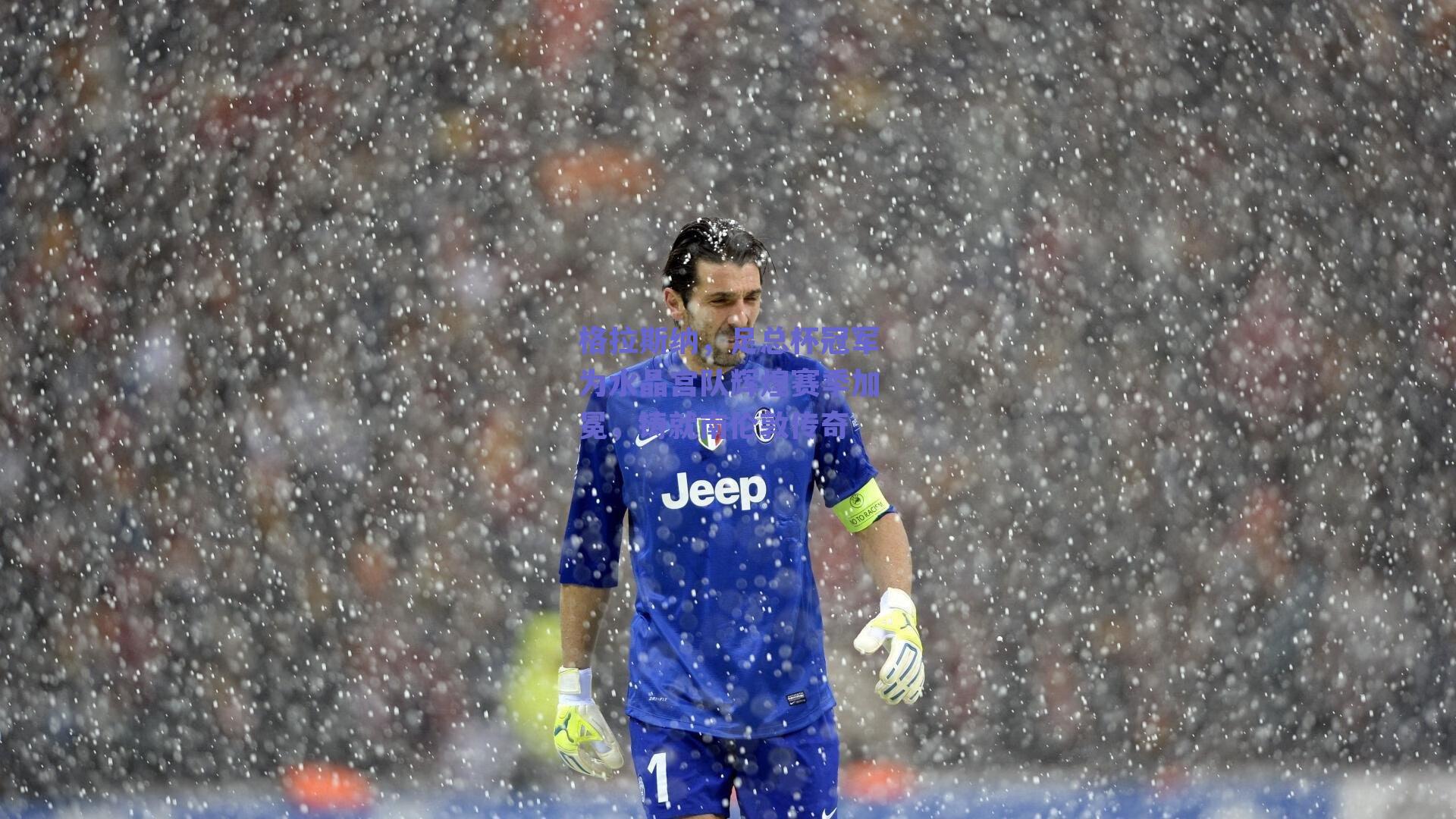 格拉斯纳，足总杯冠军为水晶宫队辉煌赛季加冕，铸就南伦敦传奇