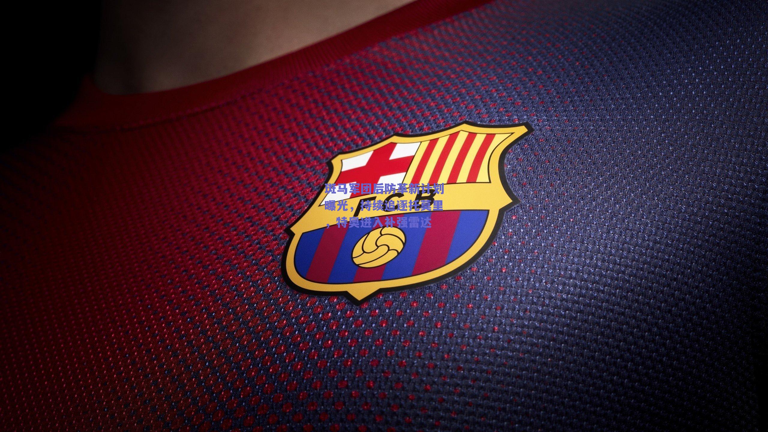 斑马军团后防革新计划曝光，持续追逐托莫里，特奥进入补强雷达